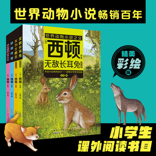 西顿动物小说 无敌长耳兔 大力士熊王 野狼传奇 甘达峰的山羊大王 经典动物文学适合中小学生阅读课外书 安徽少年儿童出版社fb 商品图0