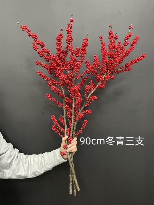 天物状元红特级北美冬青富贵籽 商品图9