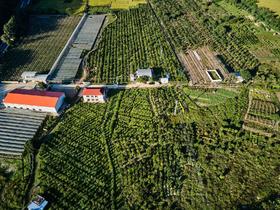  震惊！土地居然越喂越“瘦” 