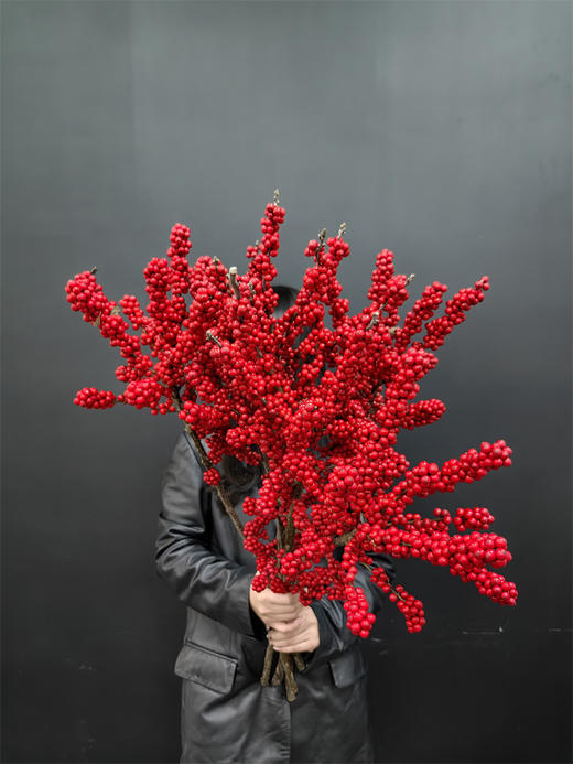 天物状元红特级北美冬青富贵籽 商品图1