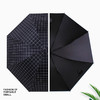 艾逸瑶选安格斯格子晴雨伞YS-1829 商品缩略图2