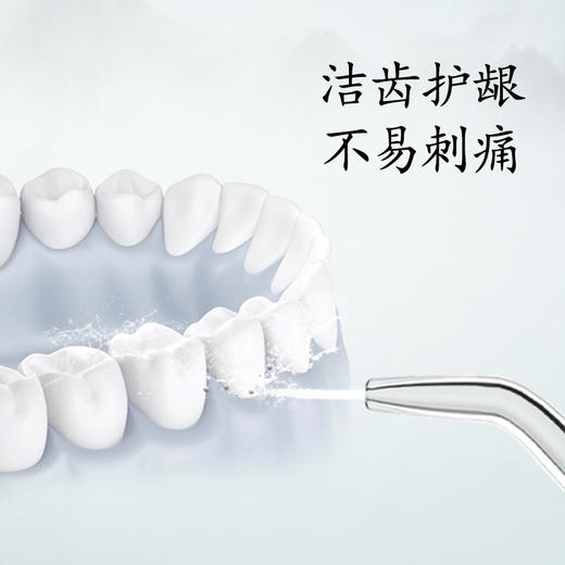 一日不见冲牙器-高山流水礼盒 东方个护 商品图3