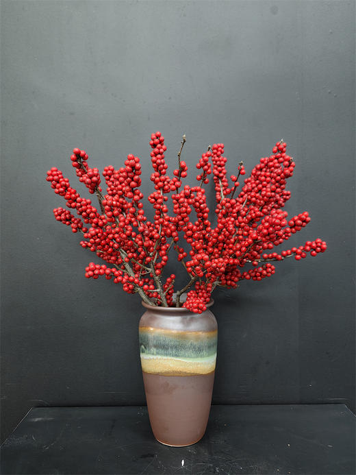 天物状元红特级北美冬青富贵籽 商品图4