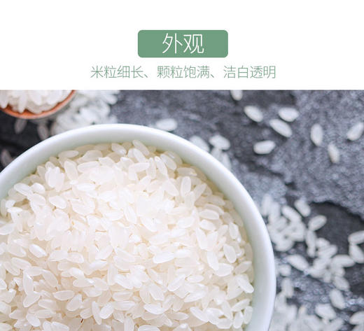 燕之坊长粒香大米2.5kg 产自优质稻香米黑龙江  商品图2