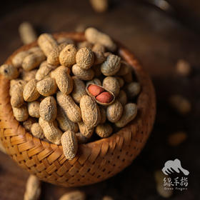 生态河南炒花生  | 合作生产 *Eco-Fried peanut | Coproduction