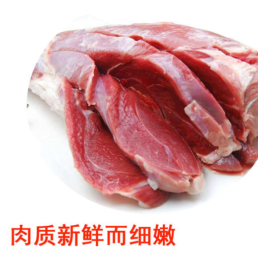 ✅新疆冰碴驹俐全羊祥礼 18~20斤整只礼盒装（海拔2500米悬崖绝壁间跳跃的精灵） 商品图3