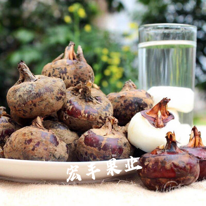 宏丰精选  乐昌马蹄  儿时的味道， 活动价5.8一斤