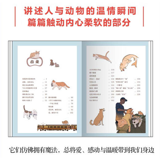 我会永远抱紧你 喵掌柜老李首部作品集疗愈减压宠物动物暖心漫画书籍 商品图2