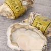 新鲜水产品   生蚝 多规格 可选 商品缩略图4
