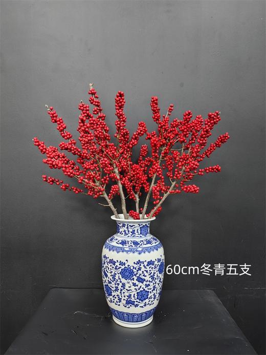 天物状元红特级北美冬青富贵籽 商品图6