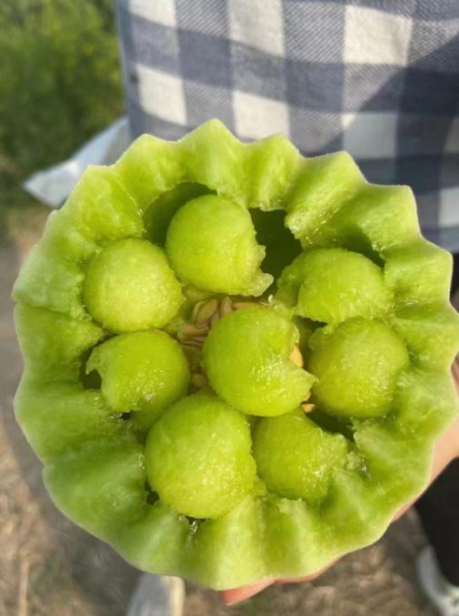 月露瓜一箱（拼团） 商品图5
