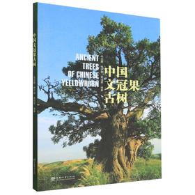 中国文冠果古树 1735