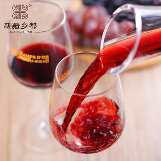 仪尔乡都典藏干红葡萄酒 750ml 商品图2