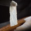 脆肉鲩鱼腩片250g 商品缩略图0