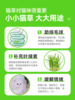 猫草盆栽小麦种子粒土培懒人成幼猫非已种好冻干零食水培猫咪用品 商品缩略图1