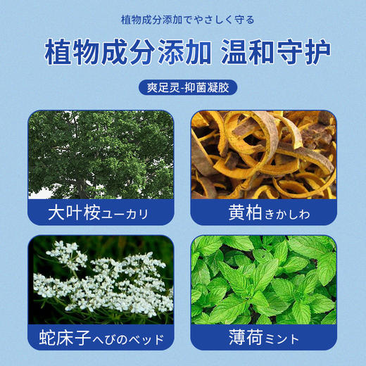 【远离脚qi脚臭！】爽足灵  抑箘消味  告别脚汽困扰  足部修护祛除脚臭  膏乳霜20g/盒 商品图3