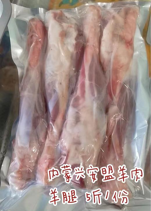 内蒙兴安盟羊 商品图2