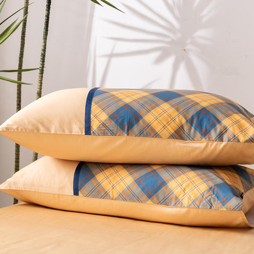 多喜爱 全棉新疆精梳棉刺绣工艺款简约时尚四件套 环球之旅/茹伊/fx 商品图5