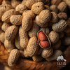 生态河南炒花生  | 合作生产 *Eco-Fried peanut | Coproduction 商品缩略图2