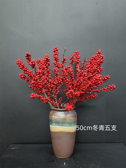 天物状元红特级北美冬青富贵籽 商品图5