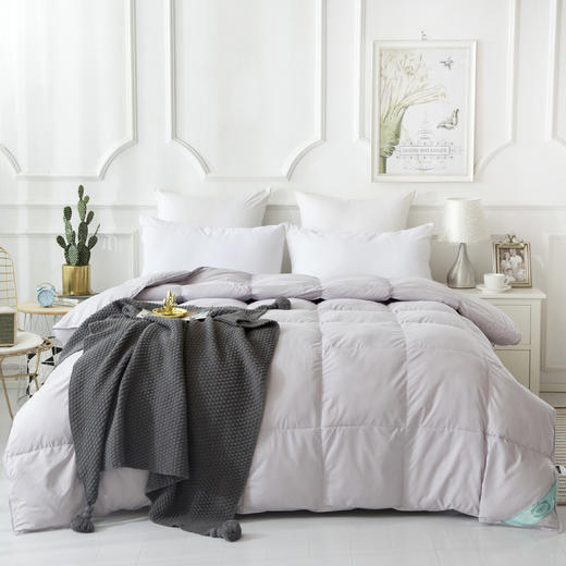 维科轻羽鹅毛被VKM-193905 商品图5