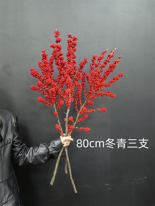 天物状元红特级北美冬青富贵籽 商品图8