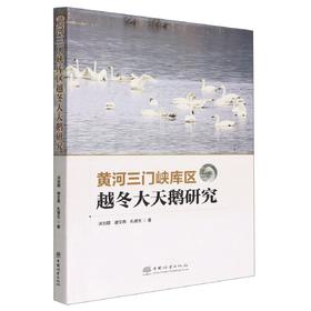 黄河三门峡库区越冬大天鹅研究 1610