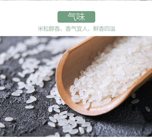 燕之坊长粒香大米2.5kg 产自优质稻香米黑龙江  商品图3