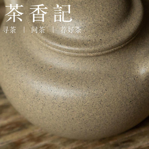 茶香记 紫砂壶 共生矿莲子壶 强益铖 经典壶形 匀称饱满 透气性佳 商品图2