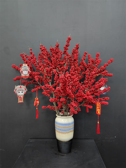 天物状元红特级北美冬青富贵籽 商品图3