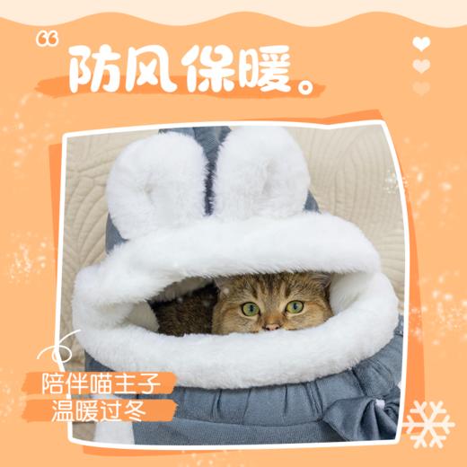 猫包外出便携太空舱双肩背包猫背包可手提狗狗出行宠物用品大容量 商品图6