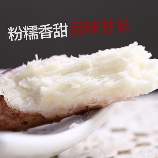 【劲爆补贴】正宗温县铁棍山药8斤/提 垆土铁棍山药 地道怀山药 地理标志性产品 商品图0