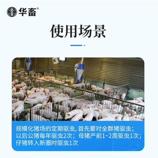 华畜阿苯达唑伊维菌素 体内外驱虫药 鸡牛羊猪药 商品图4