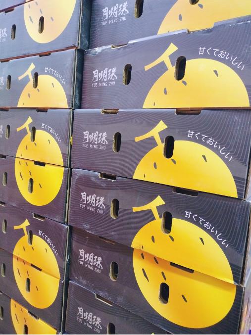 月露瓜一箱（拼团） 商品图3