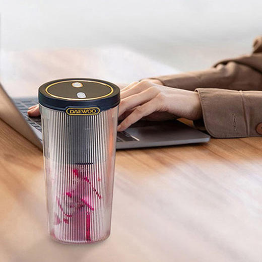 （分两个包裹）大宇果汁杯DYLL-D30+大宇早餐机DYZD-150【YGYL2.0】 商品图2