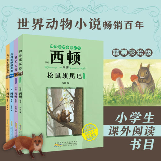 西顿动物小说 松鼠旗尾巴 勇犬比利 北极狐的圆舞曲 飞行勇士阿诺克斯 经典动物文学适合中小学生阅读 安徽少年儿童出版社fb 商品图0