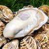 新鲜水产品   生蚝 多规格 可选 商品缩略图0