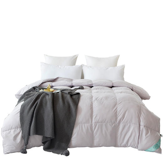 维科轻羽鹅毛被VKM-193905 商品图0