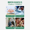 【助力健康肠胃】美国进口Norvikon诺维肯益生菌软糖维持胃肠益生菌平衡肠胃舒畅一身轻松90颗/瓶 商品缩略图3