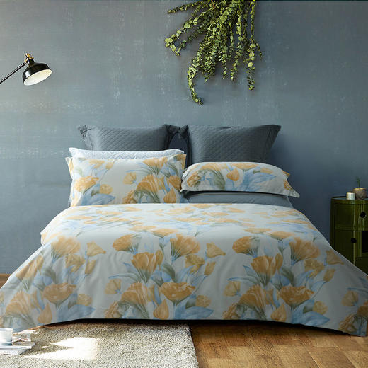 水星家纺DH朵蔓四件套【LXLN2.8】 商品图0