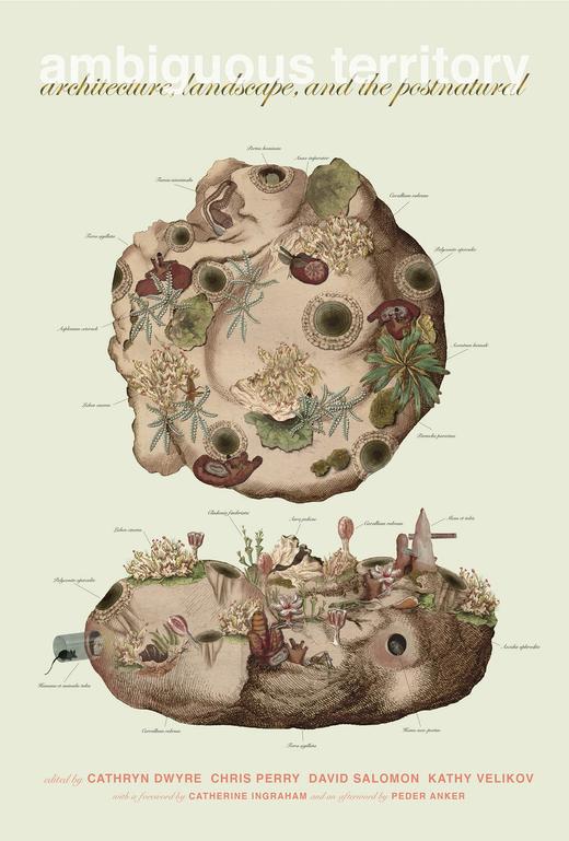 Ambiguous Territory，有争议领地：建筑、景观与后自然，建筑 商品图0
