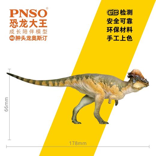 PNSO肿头龙奥斯汀恐龙大王成长陪伴模型46 商品图2