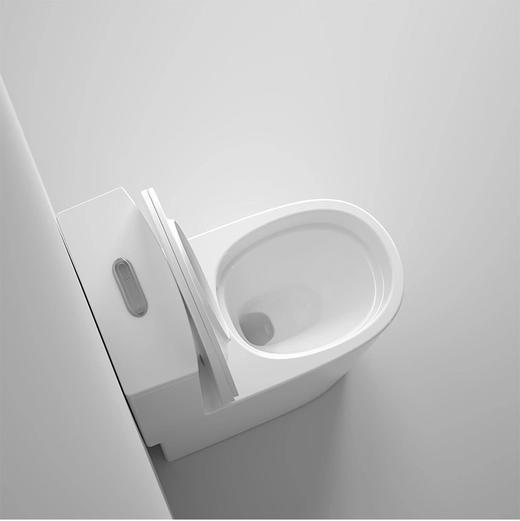 帝富龙 坐便器 9034   （30-35-40坑距通用） 商品图2