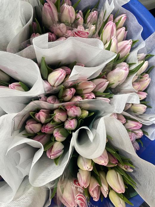 【方德郁金香】萌动 裸粉色 约9-10枝/扎 商品图6