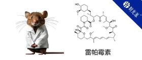  抗衰面霜、生发素，生物极客的一万种雷帕霉素用法 