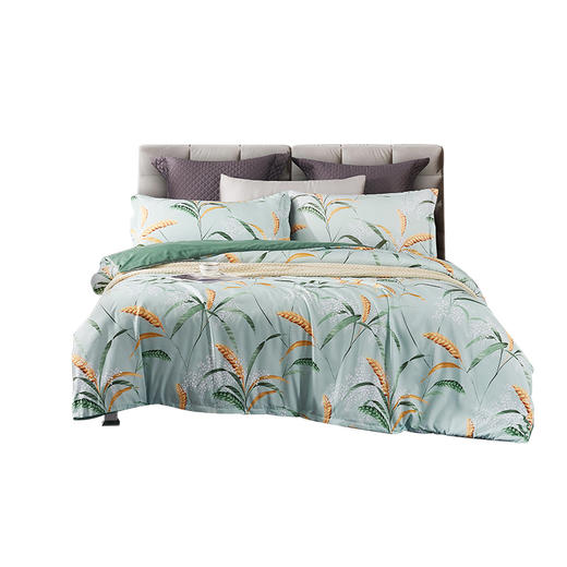 A-TIMES韦伯亲肤磨毛四件套JF-24118 商品图5