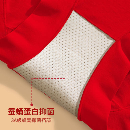 XY-H1212   本命年大红60支精梳棉高腰三角裤透气抗菌裆大码 商品图4