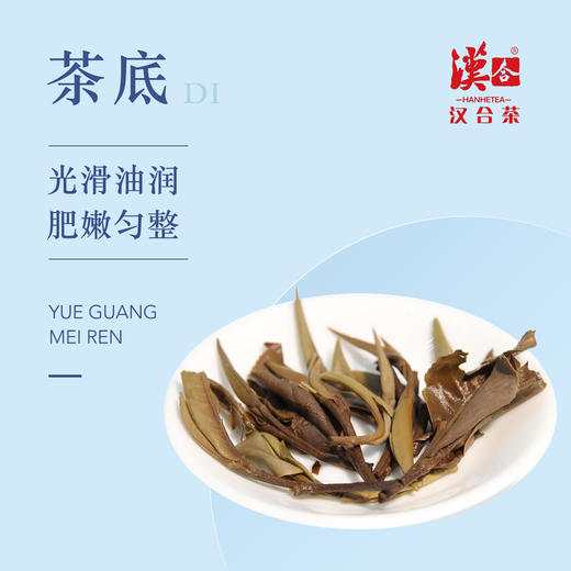 汉合茶叶 茶之梦 月光美人2019 既有白茶的清香，又具普洱茶的醇厚 商品图4