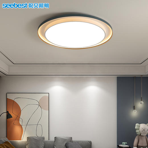 伽罗大圆-客卧灯（2.4G视贝智家） 商品图2