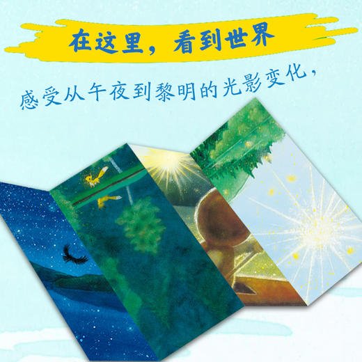 心喜阅绘本馆：安静的湖（精） 商品图4